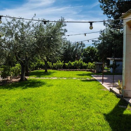 Signor Cesare Agrobistrot B&B San Giovanni Rotondo Eksteriør bilde
