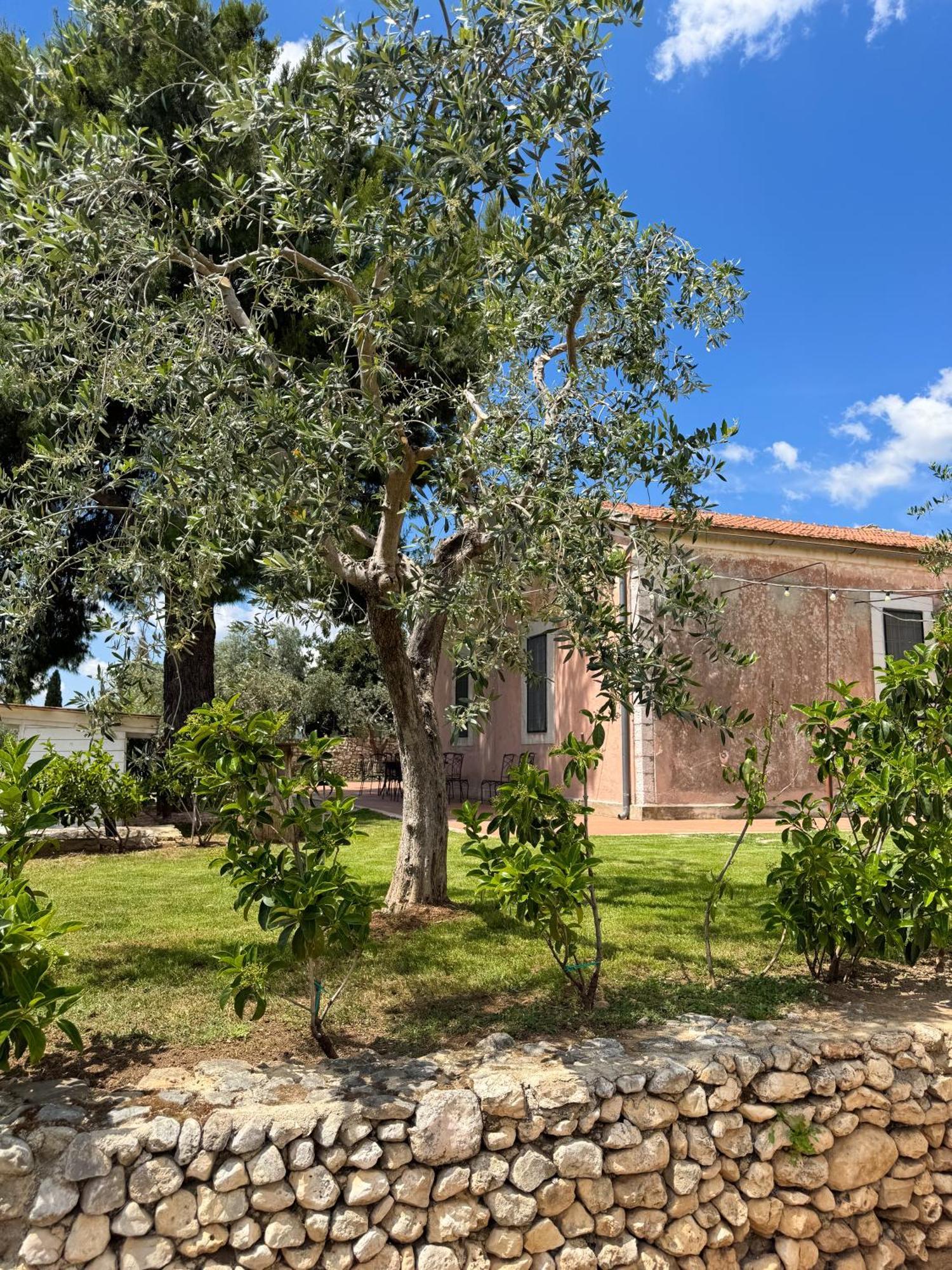 Signor Cesare Agrobistrot B&B San Giovanni Rotondo Eksteriør bilde