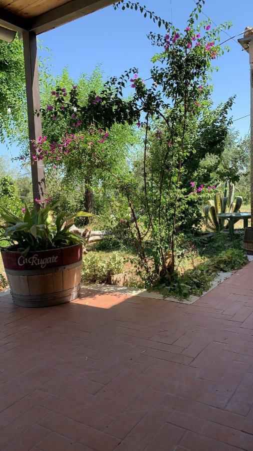 Signor Cesare Agrobistrot B&B San Giovanni Rotondo Eksteriør bilde